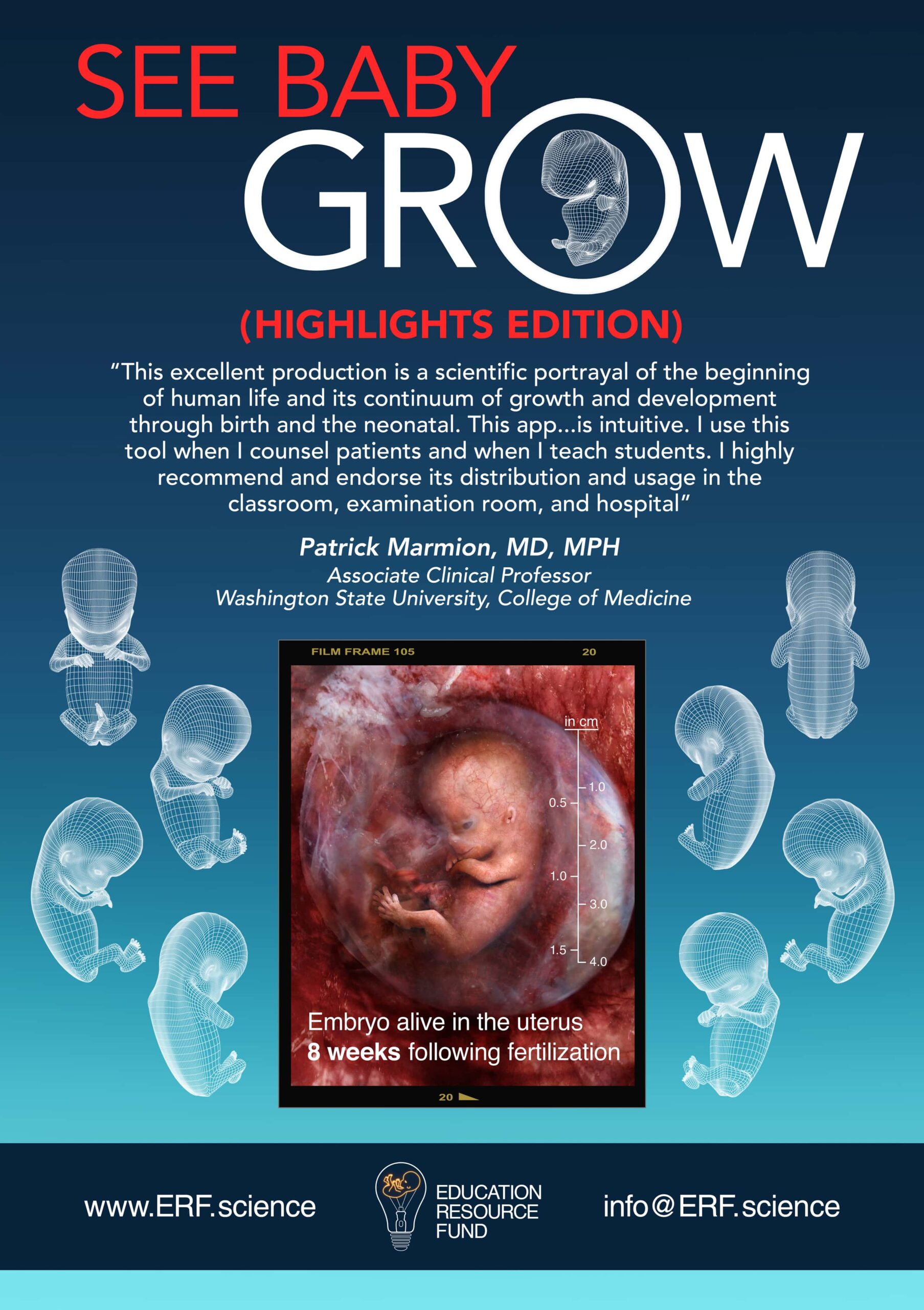 Deliverable_-SEE-BABY-GROW_Hilights_POSTER-2560