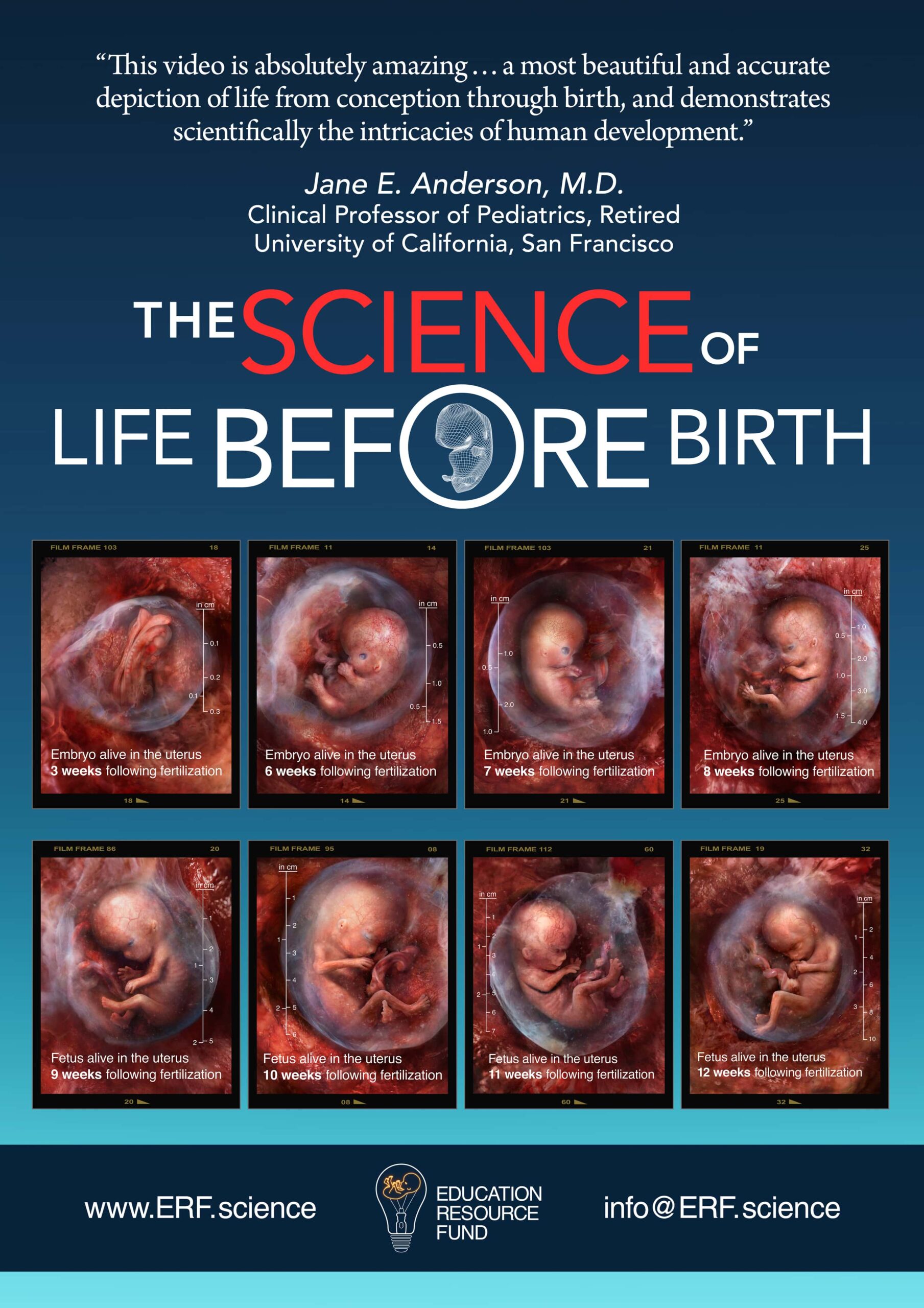 Deliverable_SCIENCE_BEFORE_BIRTH_POSTER-2560